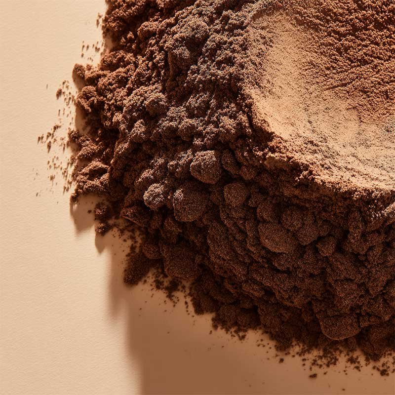 black tea extract powder