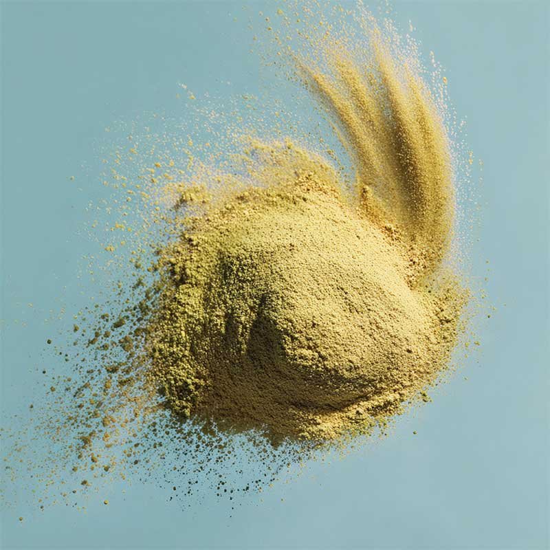 green tea extract powder